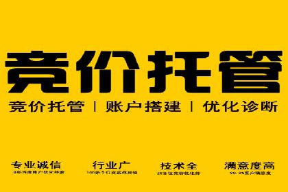 SEM服务公司成功案例解读